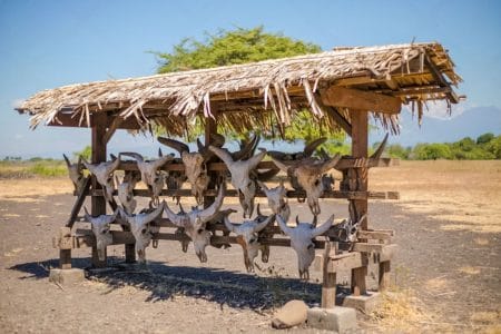 🌿Beyond Ijen: Top Attractions in East Java for Nature Lovers